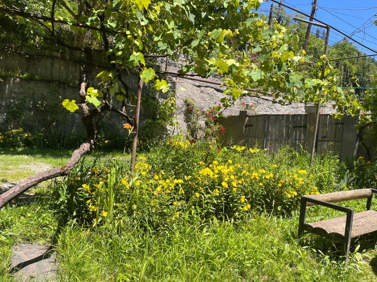 Borjomi Makvala'S Guest House Kültér fotó