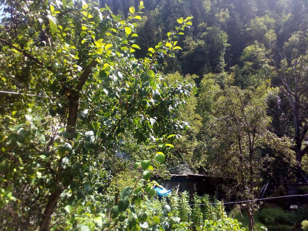 Borjomi Makvala'S Guest House Kültér fotó