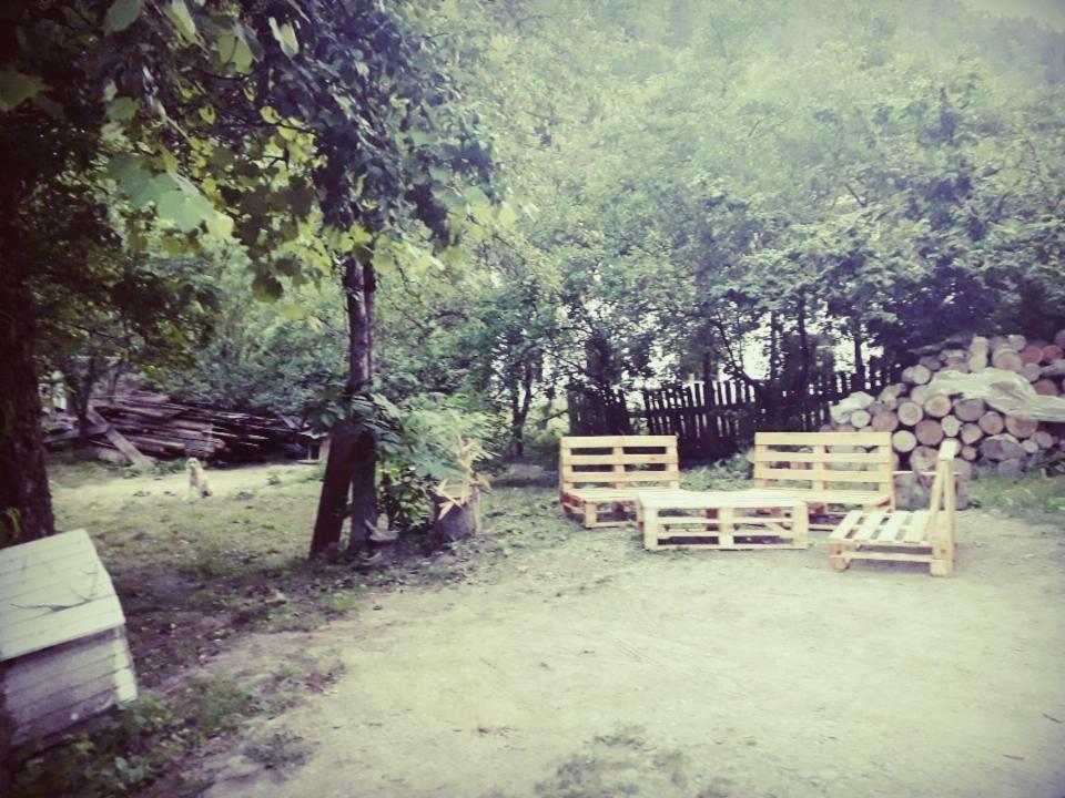 Borjomi Makvala'S Guest House Kültér fotó
